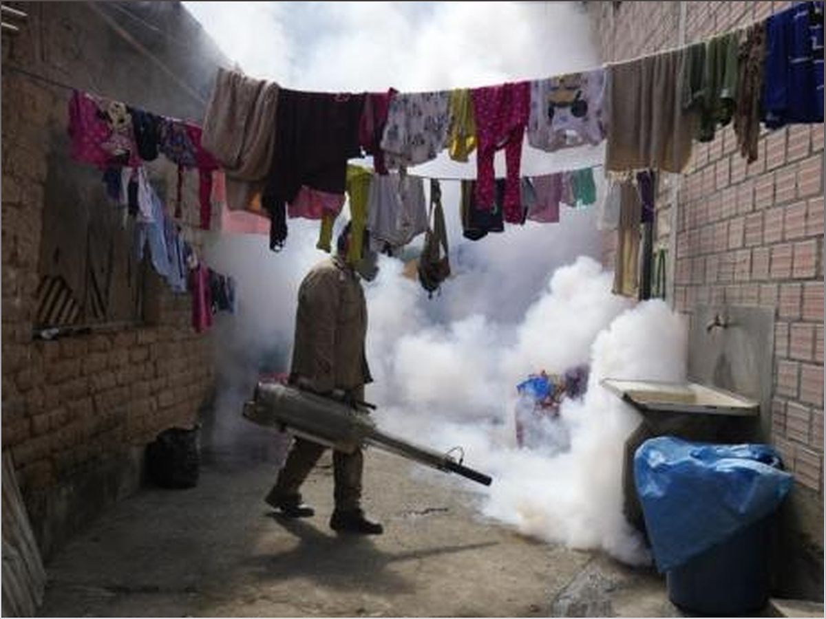 The Growing Threat of Dengue: A Global Health Crisis - -1682429513