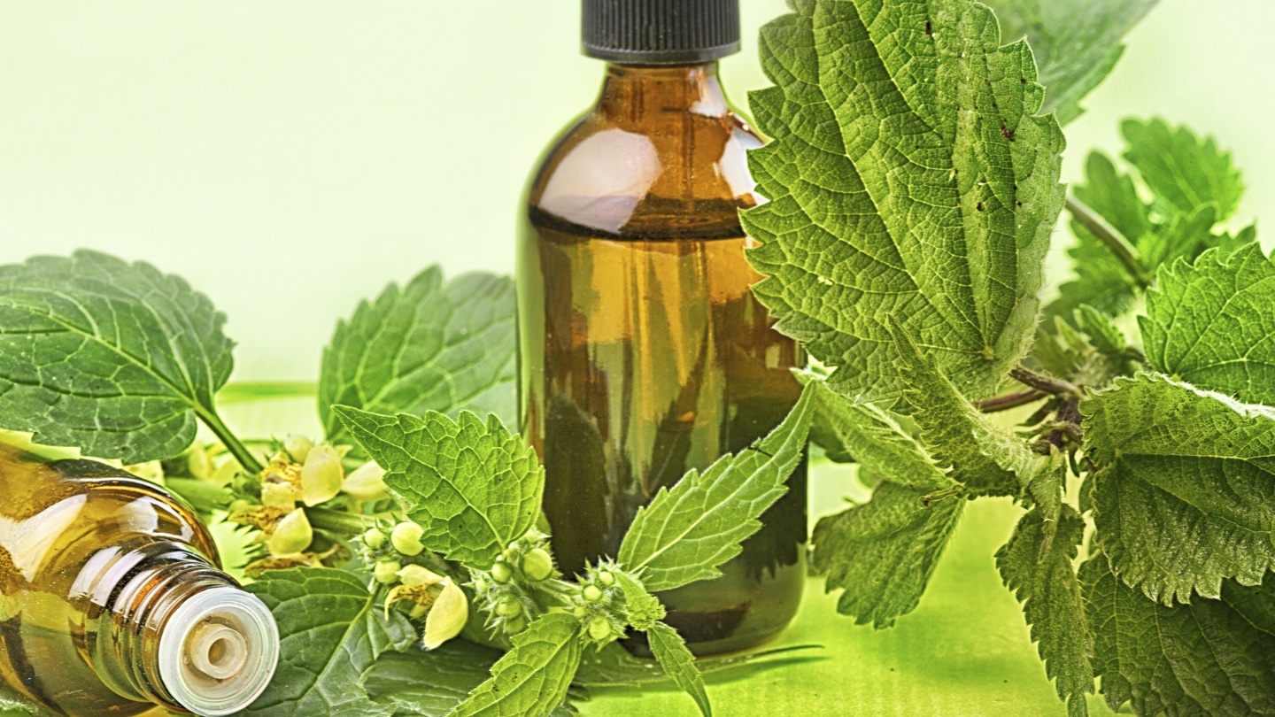 Botanical Repair Ingredients: The Secret to Revitalized Skin